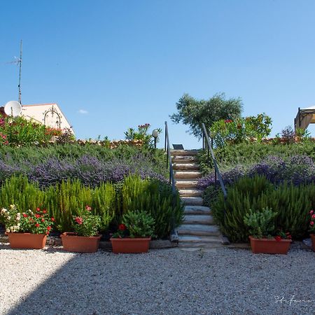 Villa Mascitti B&B Tortoreto Exterior photo