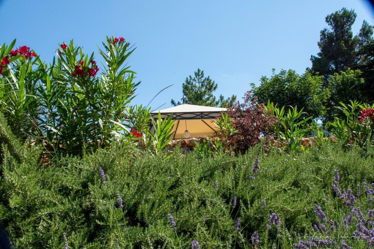Villa Mascitti B&B Tortoreto Exterior photo