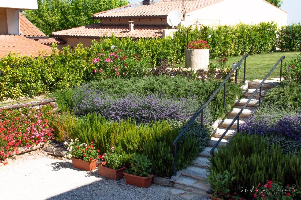 Villa Mascitti B&B Tortoreto Exterior photo