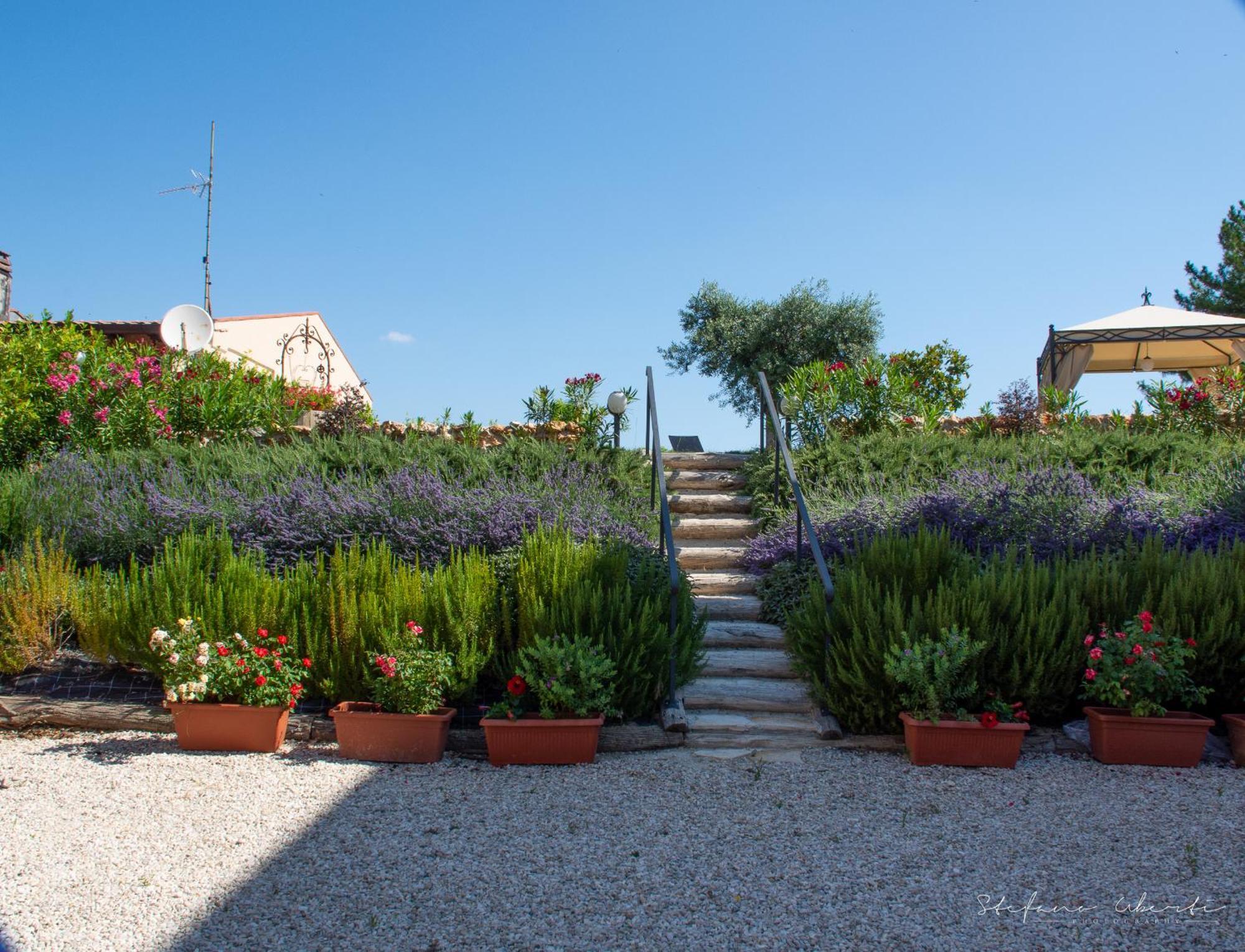 Villa Mascitti B&B Tortoreto Exterior photo
